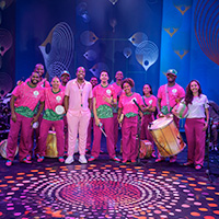 Bateria da Mangueira